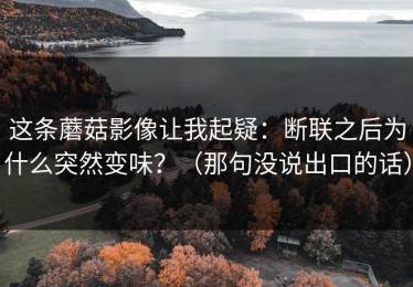 这条蘑菇影像让我起疑：断联之后为什么突然变味？（那句没说出口的话）