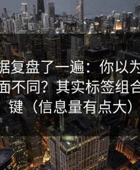 我把数据复盘了一遍：你以为91在线只是界面不同？其实标签组合才是关键（信息量有点大）