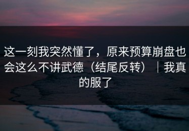 这一刻我突然懂了，原来预算崩盘也会这么不讲武德（结尾反转）｜我真的服了