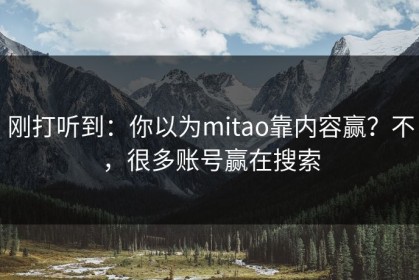 刚打听到：你以为mitao靠内容赢？不，很多账号赢在搜索