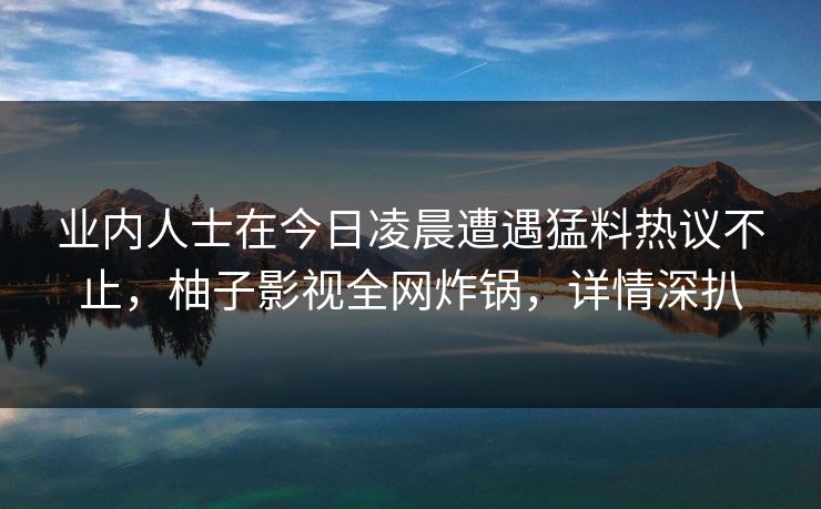 业内人士在今日凌晨遭遇猛料热议不止，柚子影视全网炸锅，详情深扒