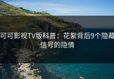 可可影视TV版科普：花絮背后9个隐藏信号的隐情