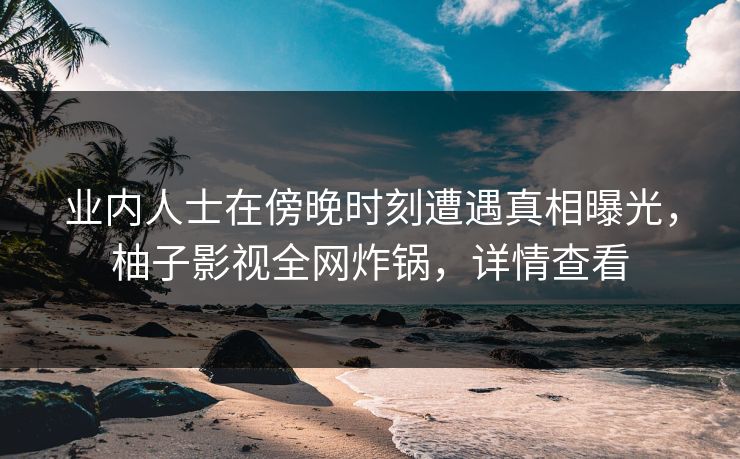 业内人士在傍晚时刻遭遇真相曝光，柚子影视全网炸锅，详情查看